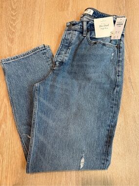 Abercrombie & Fitch The Dad High Rise Jeans Curve Love
